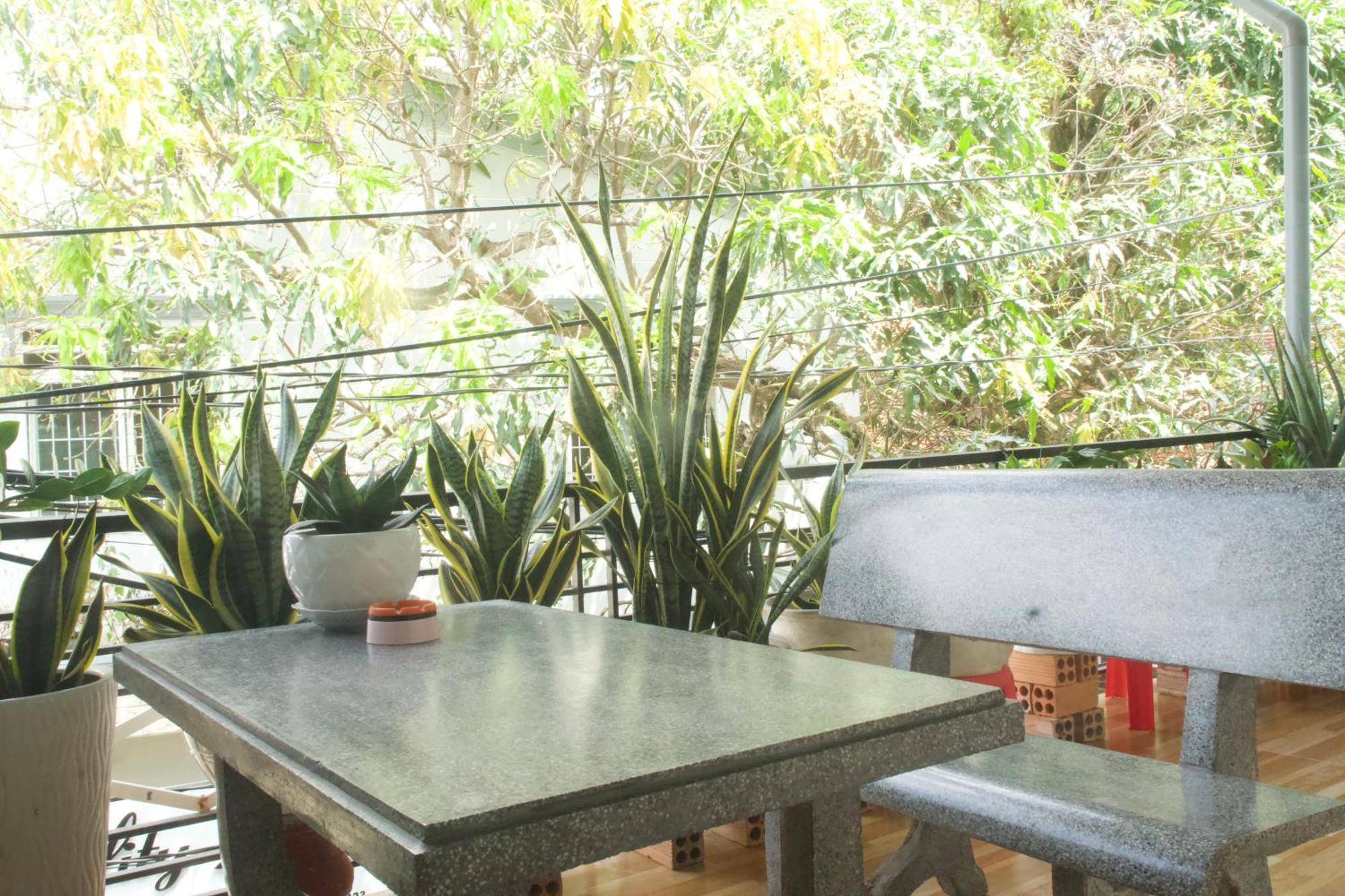 Duong Hieu Guesthouse フーコック エクステリア 写真